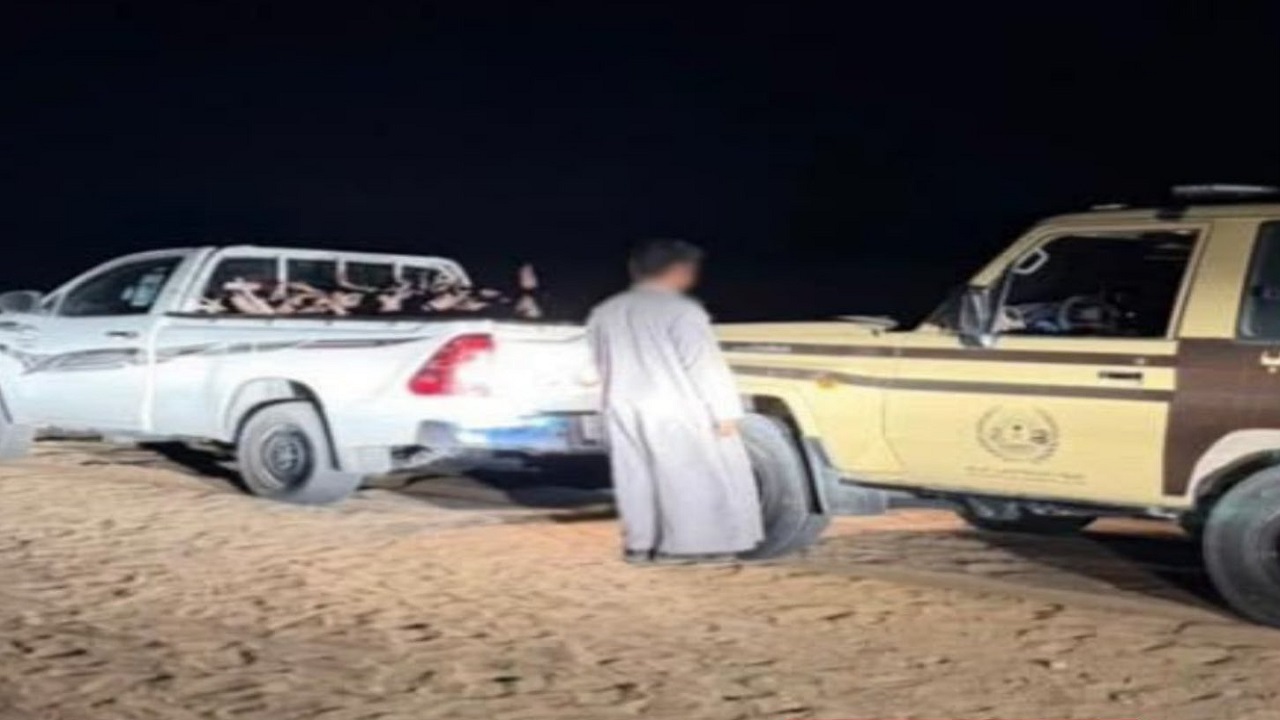 ضبط مواطن لنقله حطبا محليا في محمية الإمام تركي بن عبدالله الملكية