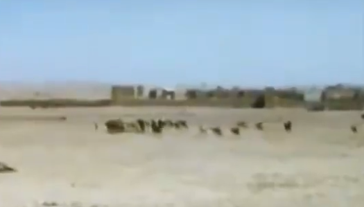 من رياض الأمس إلى عاصمة المستقبل.. مشاهد نادرة توثق الرياض قبل أكثر من 80 عاما