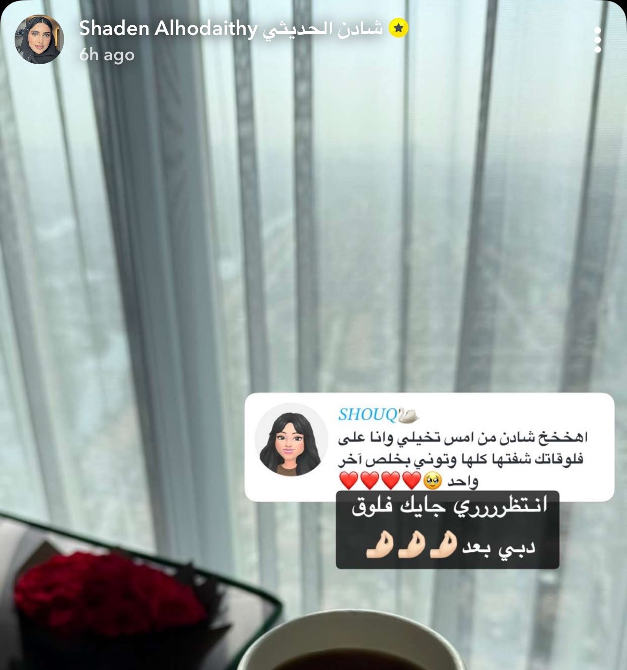 شادن الحديثي تتفاعل مع متابعيها بجولتها في دبي