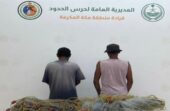 ضبط مخالفين للائحة الأمن والسلامة لمزاولي الأنشطة البحرية