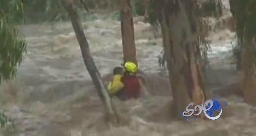 بالفيديو..إنقاذ صبى بعد أن تعلق بشجرة تحملها مياه فيضان‎