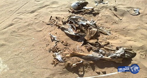 مواطن يعثر على جثة متحلله أثناء تنزهه بجعرانة