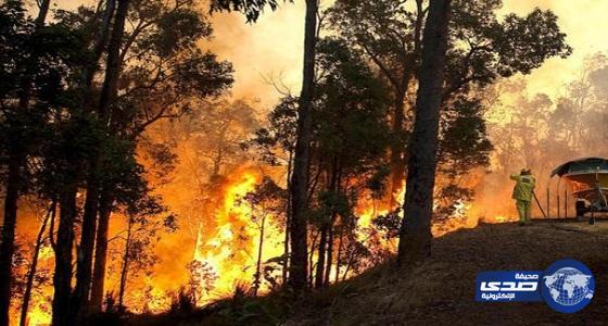 سفارة المملكة في استراليا تصدر تحذيراً لمواطنيها بسبب حرائق الغابات