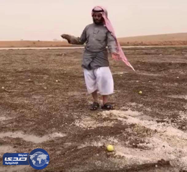 فيديو طريف لمواطن يصف كثرة البرد المتساقط على الرياض