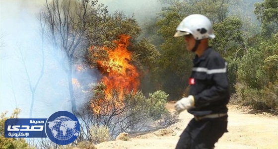 تونس: توقف 3 أشخاص مشتبه بهم في إشعال الحرائق