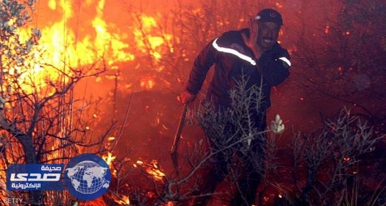 حرائق الغابات تتلف ألفي هكتار من الأشجار في تونس
