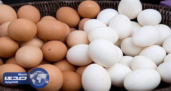 دراسة حديثة تكشف نتائج خطيرة عن ” البيض “