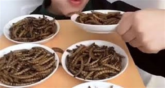 بالفيديو.. فتاة تستمتع بأكل وجبة مقززة من الحشرات