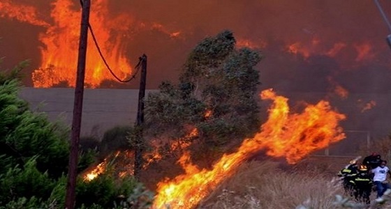 إعلان حالة الطوارئ في 4 أقاليم بإندونيسيا في ظل انتشار حرائق الغابات