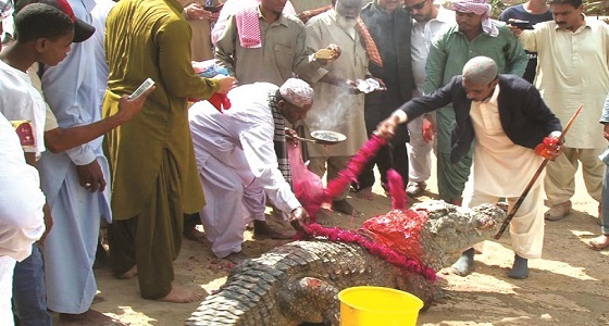 طريقة غريبة في احتفال الباكستانيين بعيد التمساح