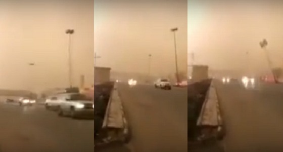بالفيديو.. لحظة سقوط عمود إنارة ونجاة سائق سيارة بأعجوبة
