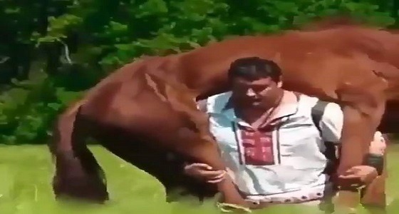 بالفيديو.. رجل يحمل حصانا على كتفه ويسير به