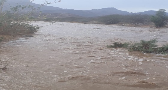 بالفيديو والصور.. أمطار الخير تلطف أجواء ” كساب ” بمحافظة أضم