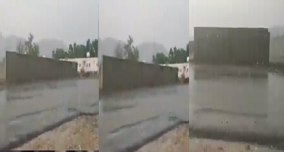 بالفيديو.. أمطار غزيرة وسيول شرق محايل عسير