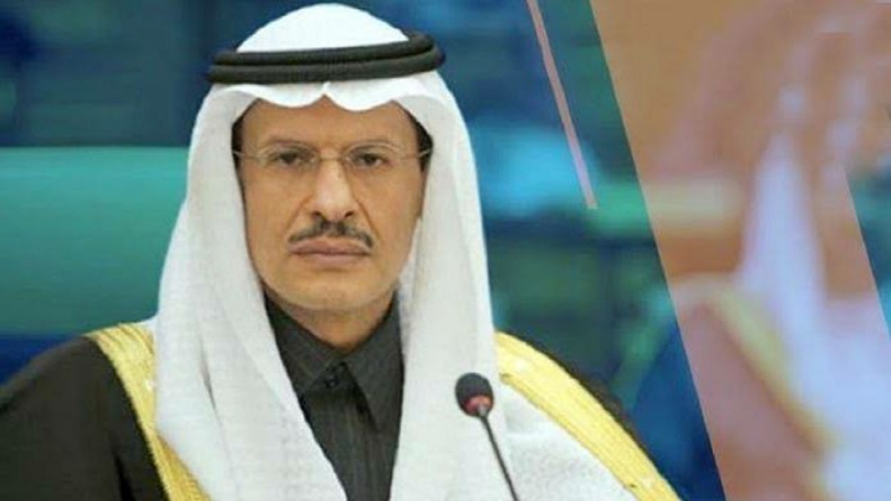 وزير الطاقة لصحفي: ما يجمعنا مع الإمارات أكبر بكثير مما تكتبونه في تقاريركم &#8220;فيديو&#8221;