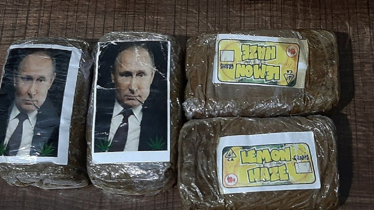 ضبط كمية من الحشيش عليها صور &#8220;بوتين&#8221;