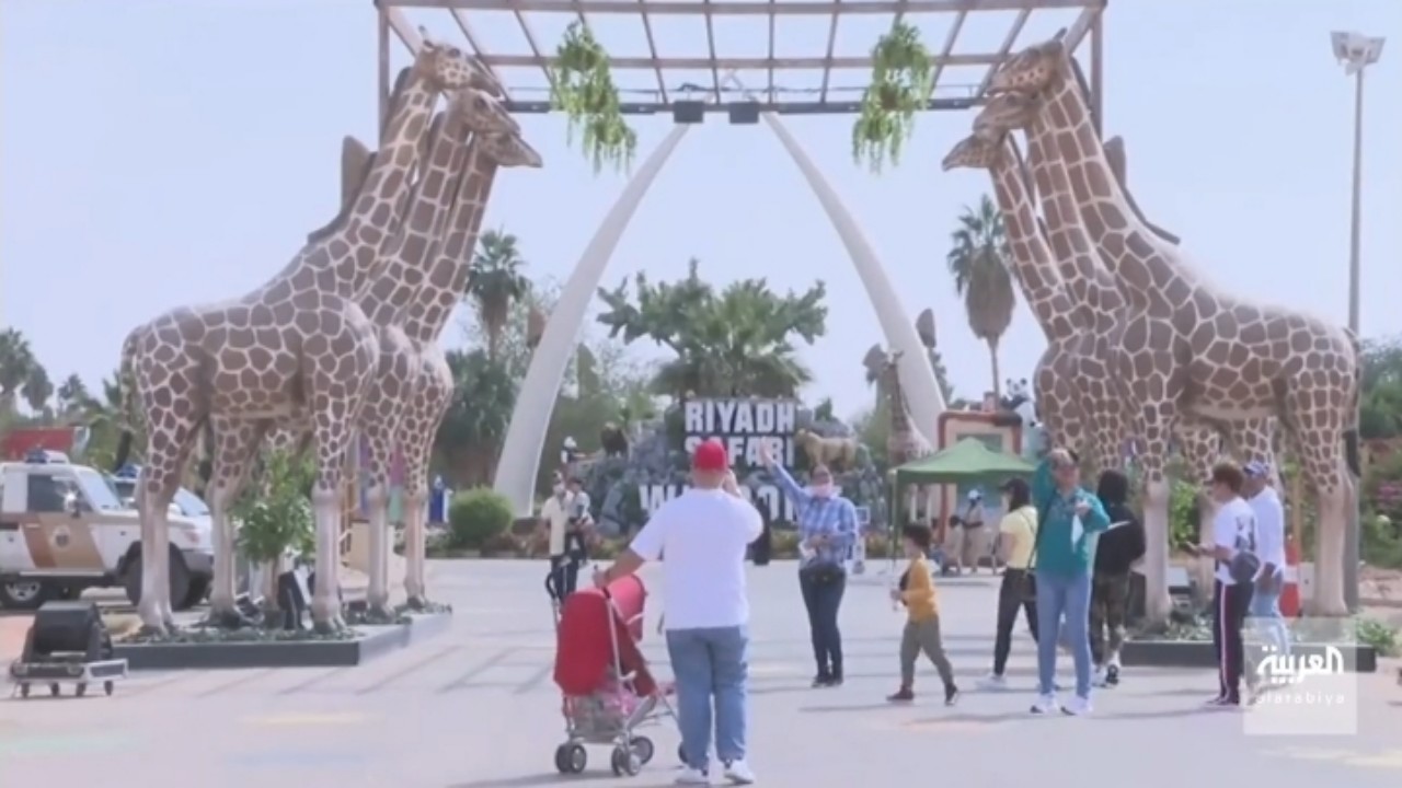 بالفيديو.. سياح أجانب: تفاجأنا بما شاهدناه في الرياض