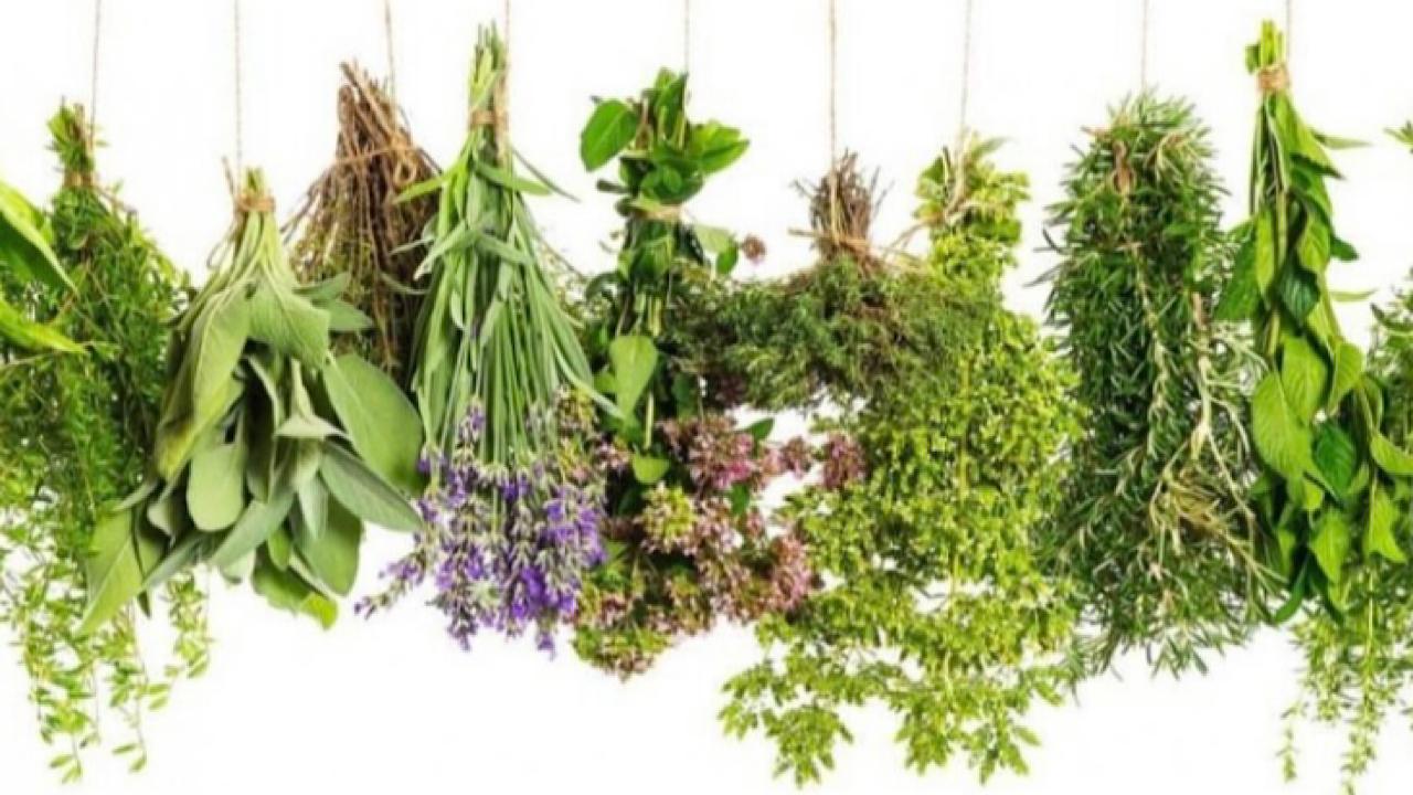 7 طرق لعلاج الإمساك بالأعشاب