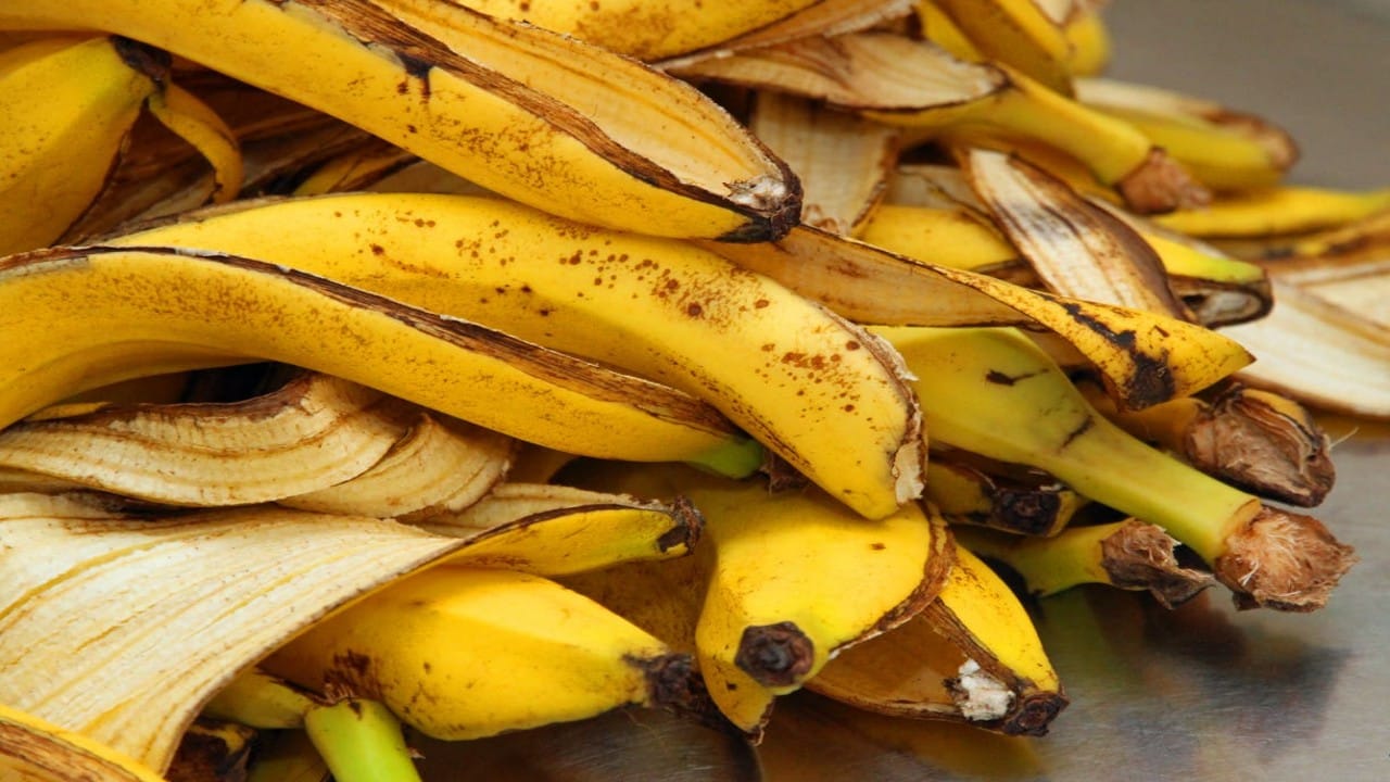 علماء يكشفون عن سر انتشار البقع البنية على الموز 