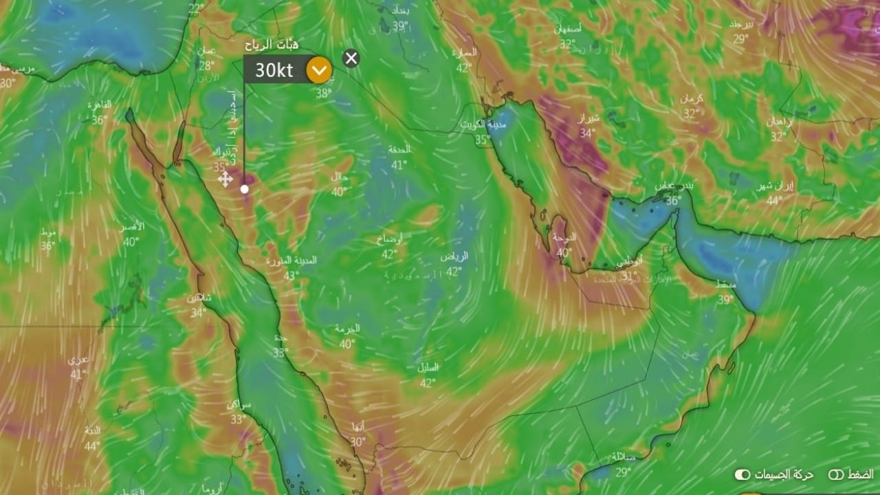 الحصيني: أجواء حارة ورياح مثيرة على المملكة ودول الخليج