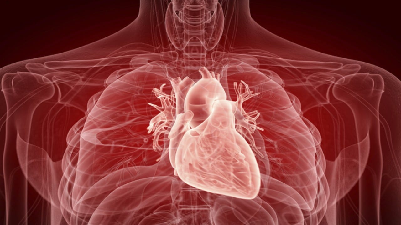 بحث جديد: فيروس كورونا قد يكون ساما لخلايا عضلة القلب!