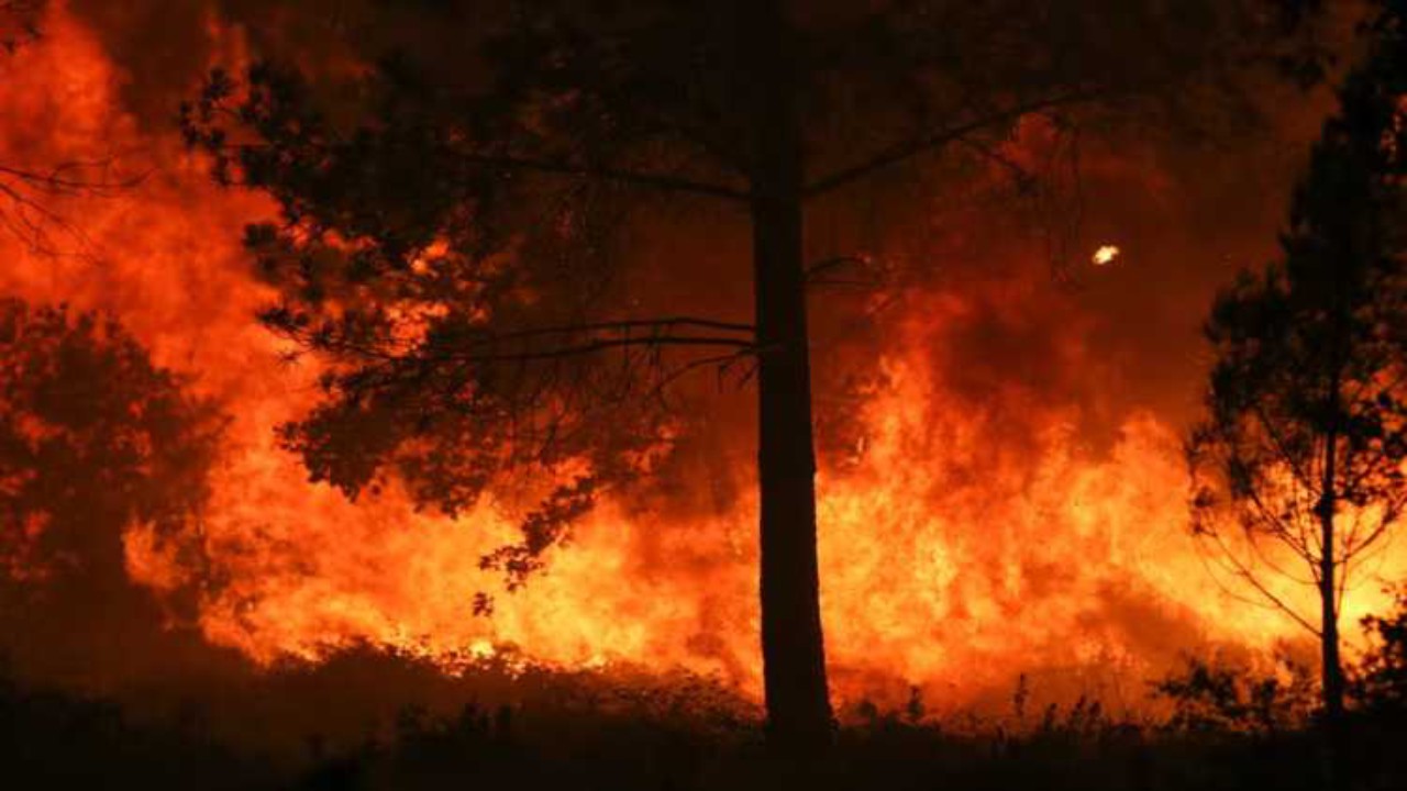 إسبانيا.. النيران تلتهم الغابات من جديد..وشكوك بأن الحرائق متعمدة