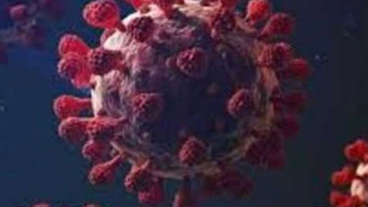 الأعراض الجديدة للموجة السادسة من فيروس كورونا