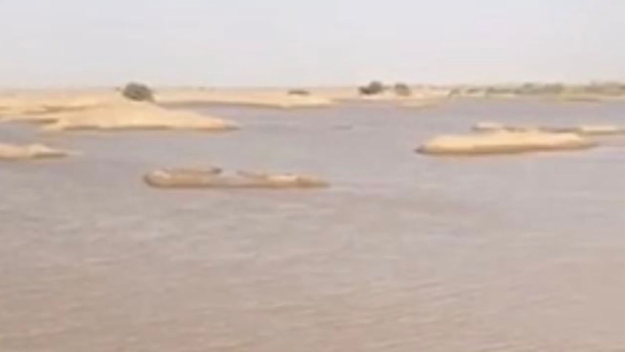 بالفيديو.. حفر تتحول لبحيرات شرق نجران بفعل الأمطار وتهدد المارة