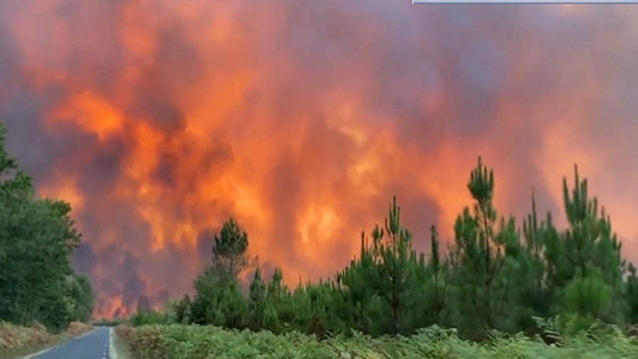 بالفيديو.. مشهد رهيب لنيران مشتعلة بغابات جنوب فرنسا