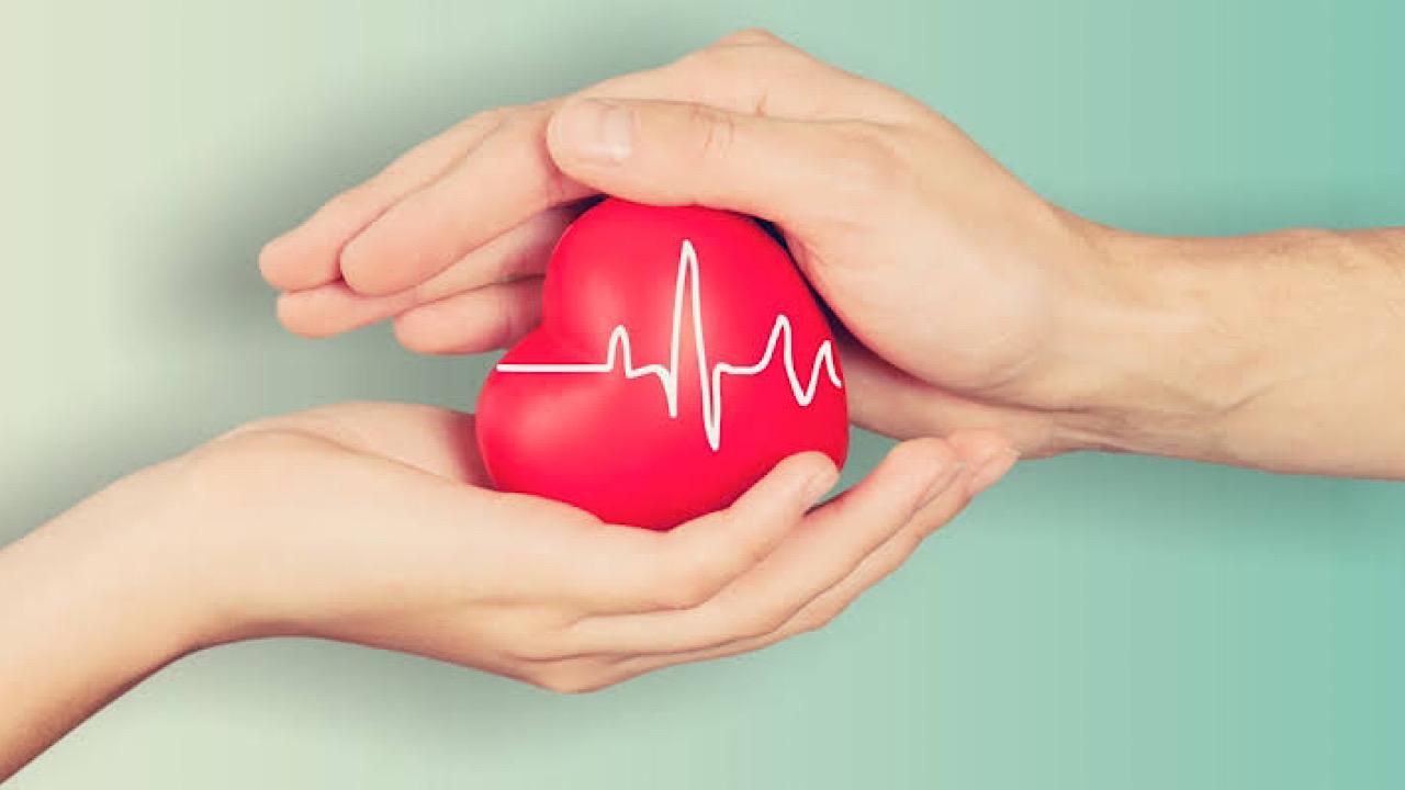أنواع أمراض القلب وأهمية التشخيص المُبكر لها