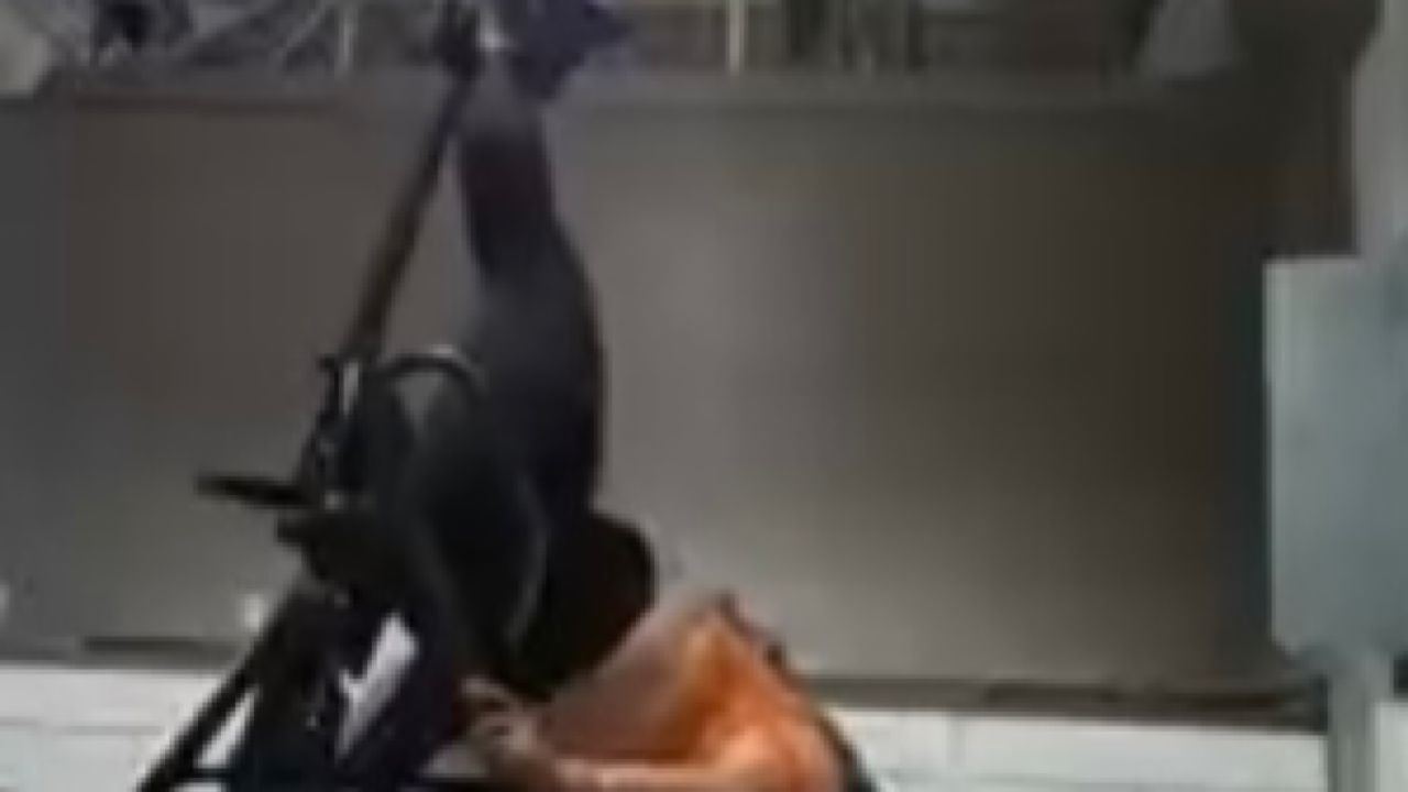 شاهد.. امرأة عالقة رأسًا على عقب في صالة رياضية تستنجد بالطوارئ لإنقاذها