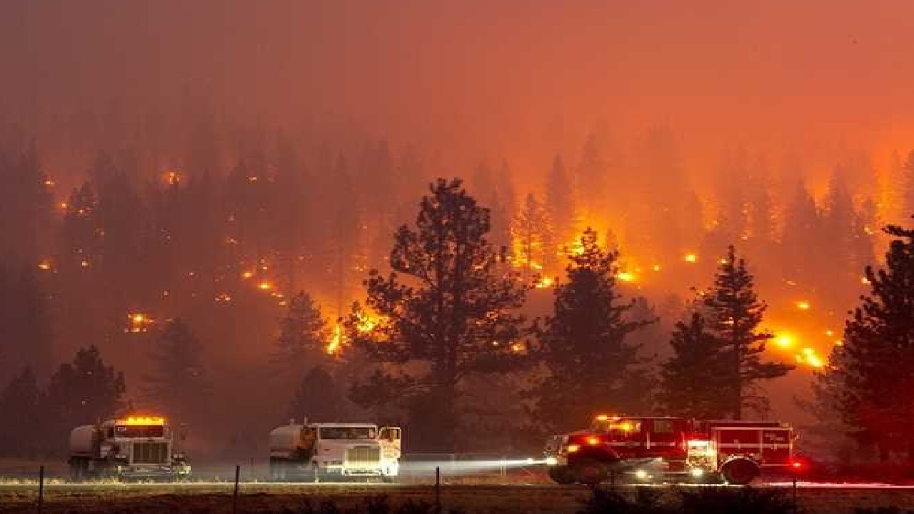 بالفيديو.. ألسنة النيران تطال منازل وممتلكات في كاليفورنيا