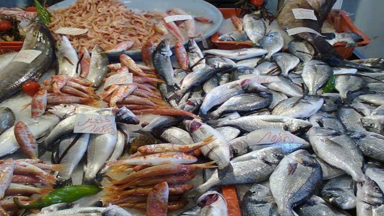 توضيح من الزكاة والجمارك بشأن استيراد الأفراد للأسماك من الخليج 