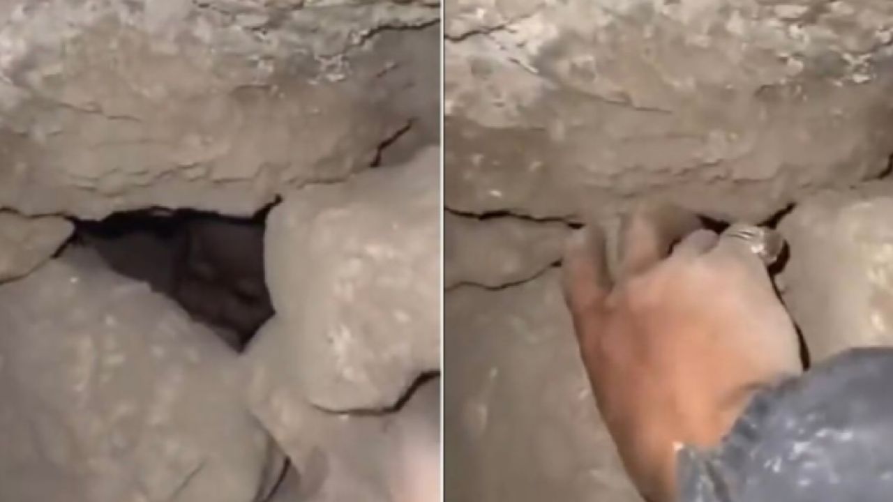 بالفيديو.. أشخاص يعثرون على كائن غريب يشبه الطفل مختبئ داخل جبل