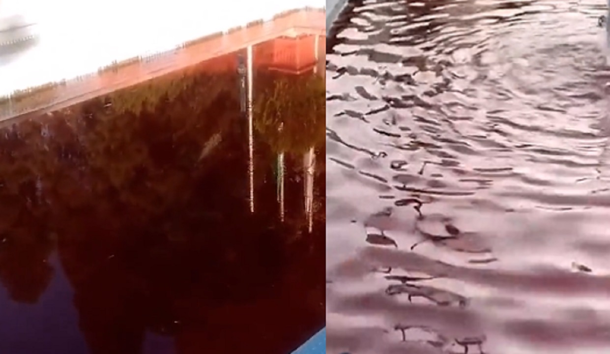 بالفيديو.. نافورة مياه تتحول إلى اللون الدموي في طهران