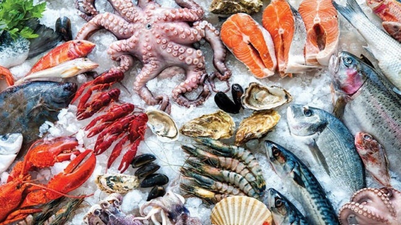 خبير تغذية: تناول الأسماك البحرية تزيد من مقاومة الإجهاد