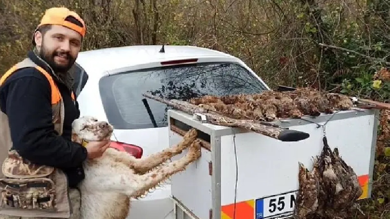 كلب يقتل صاحبه ببندقية صيد عن طريق الخطأ