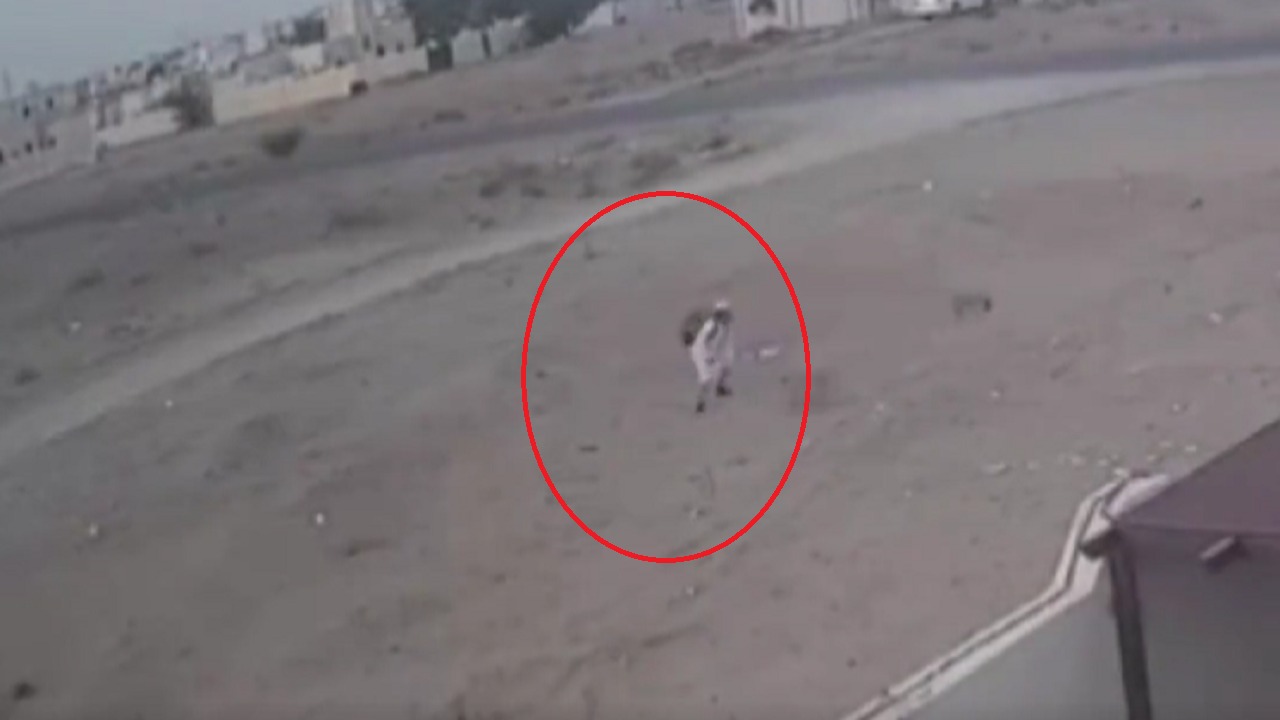 فيديو..كلاب ضالة تهاجم طفلاً بعد عودته من المدرسة