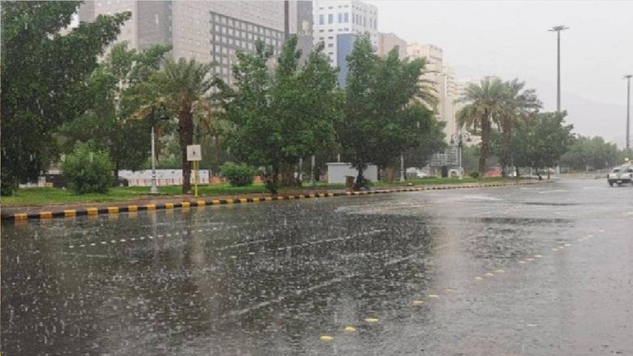 &#8220;الأرصاد&#8221;: الأمطار مستمرة حتى يوم غد