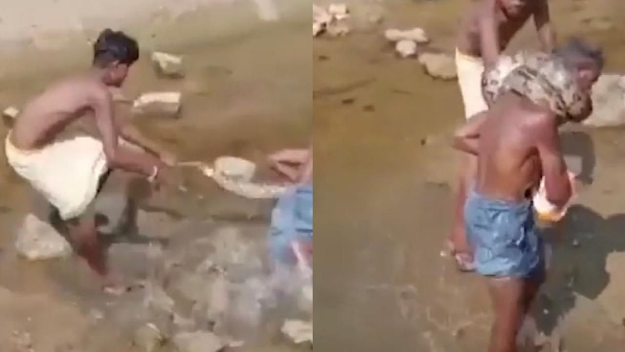 بالفيديو.. ثعبان يلتف حول عنق صياد مخمورًا