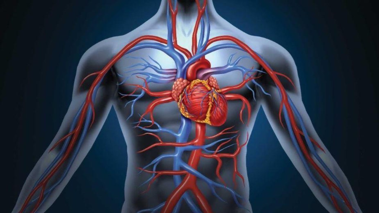 &#8220;سعود الطبية&#8221; تحذر من 5 أعراض لتجنب الإصابة بأمراض القلب