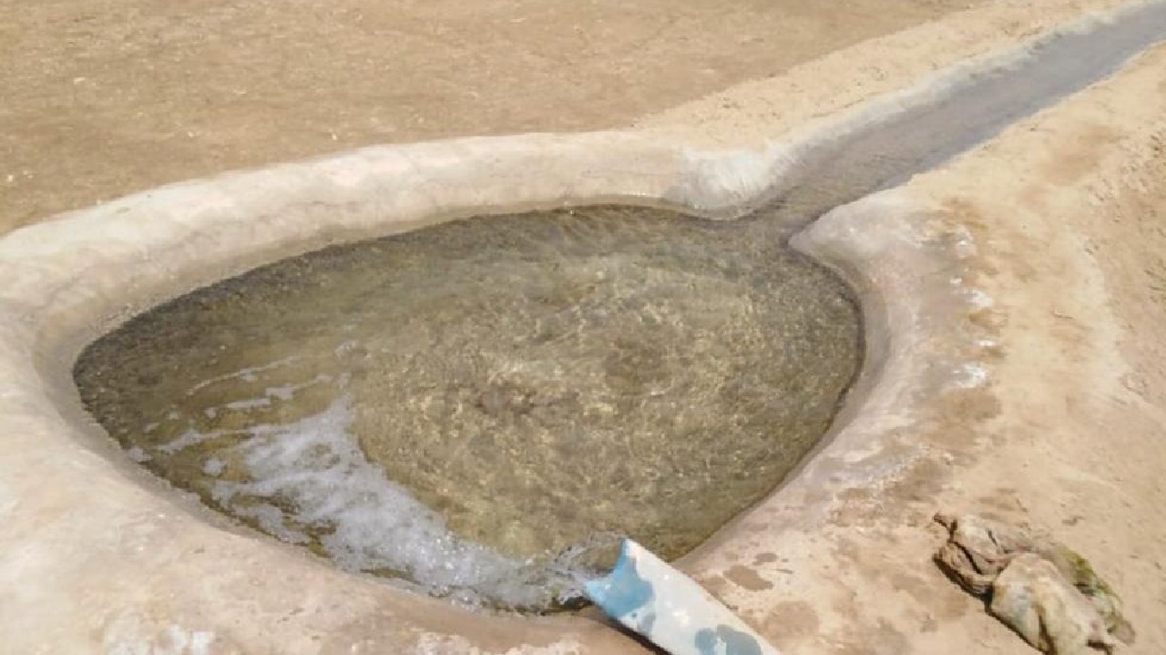 بالصور.. إزالة عدد من المزارع المخالفة التي تُسقى بمياه الصرف الصحي بمكة