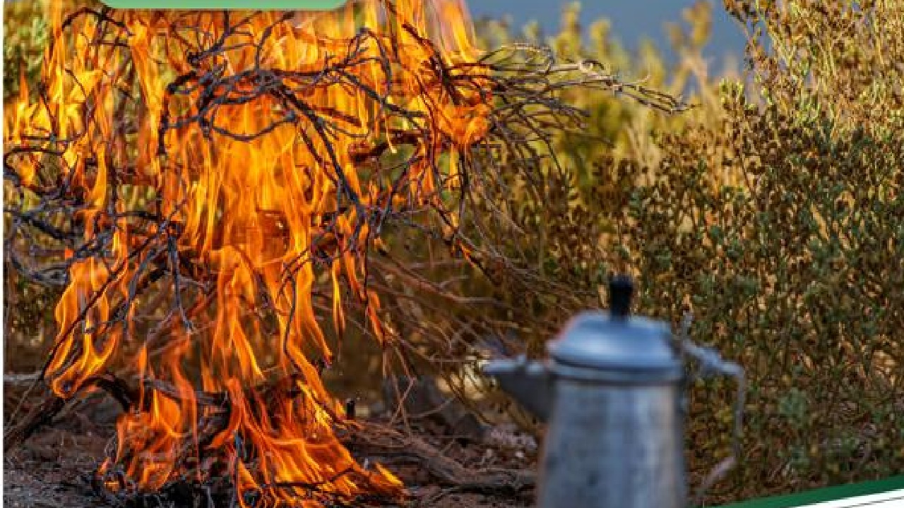 ضبط 4 مخالفين أشعلوا النار في أراضي الغطاء النباتي