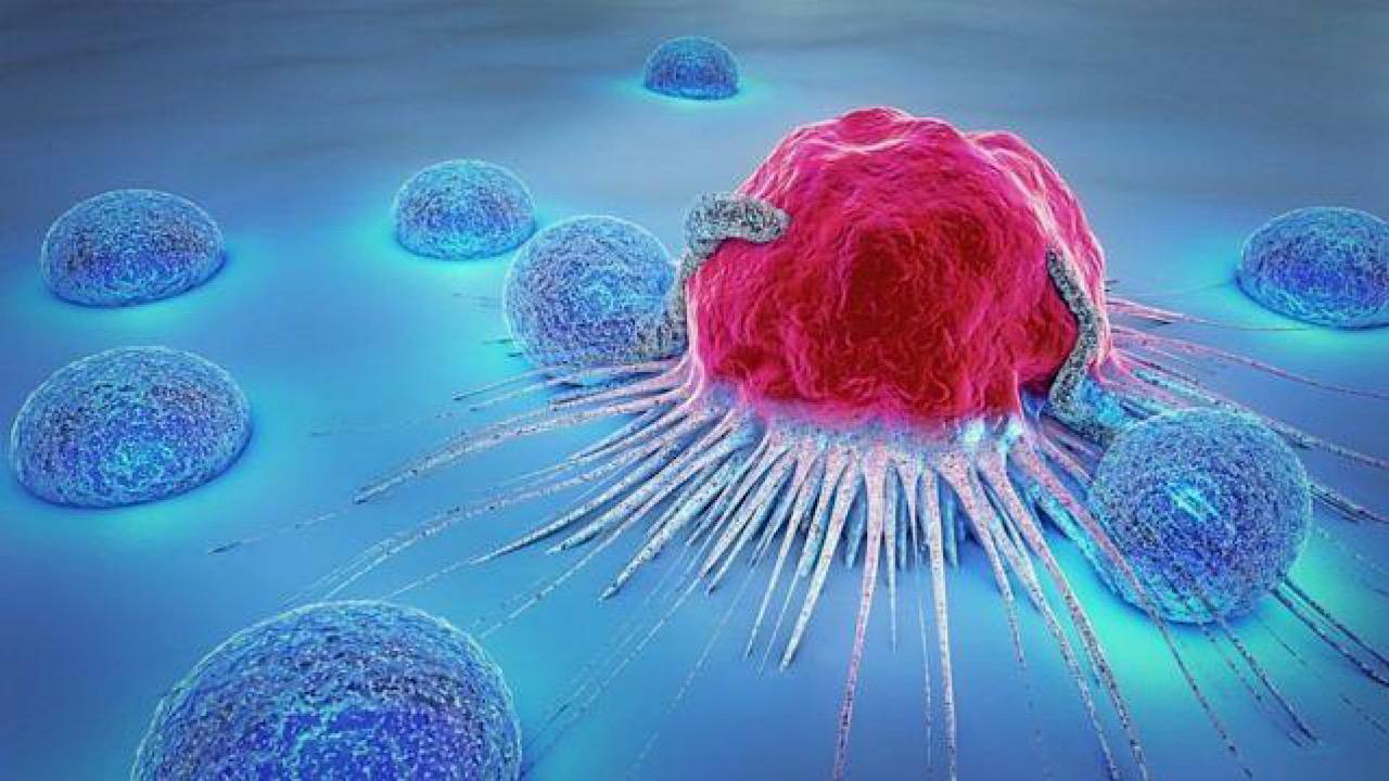الفثالات الموجودة في الشامبو ترفع خطر الإصابة بالسرطان