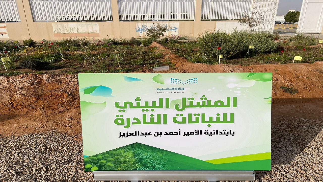 بالصور .. افتتاح معرض بيئي في ابتدائية الأمير أحمد بن عبدالعزيز