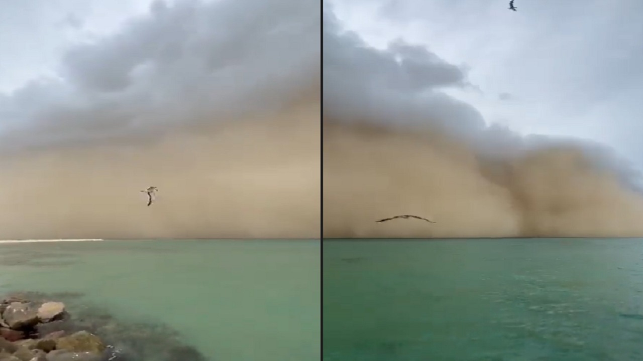سحابة مهيبة مع عاصفة جدارية في بحر جازان (فيديو)