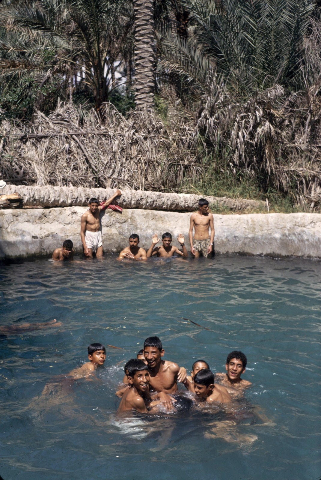 السباحة في عيون القطيف قبل 50 عام