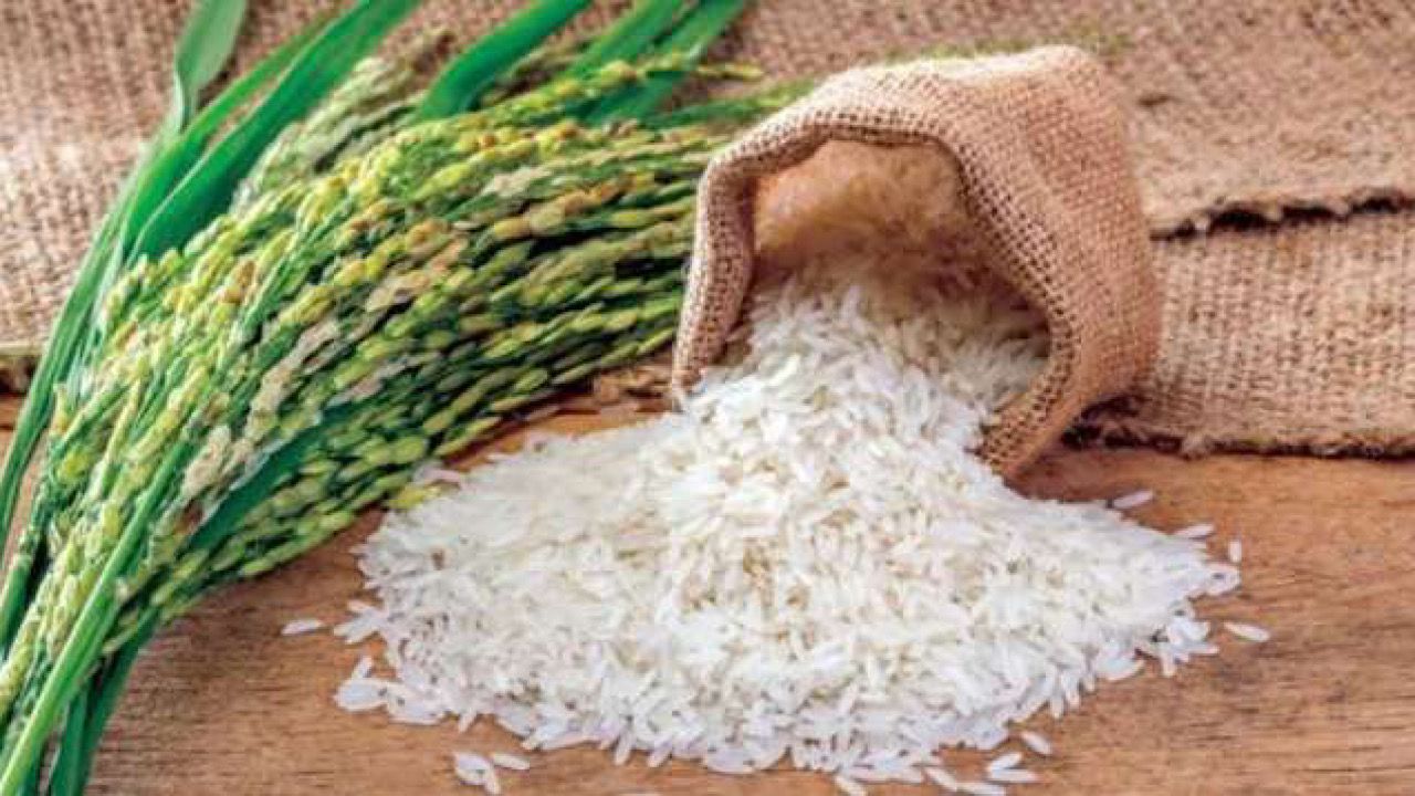 أسعار الأرز تتجه نحو الارتفاع على المستوى العربي والعالمي