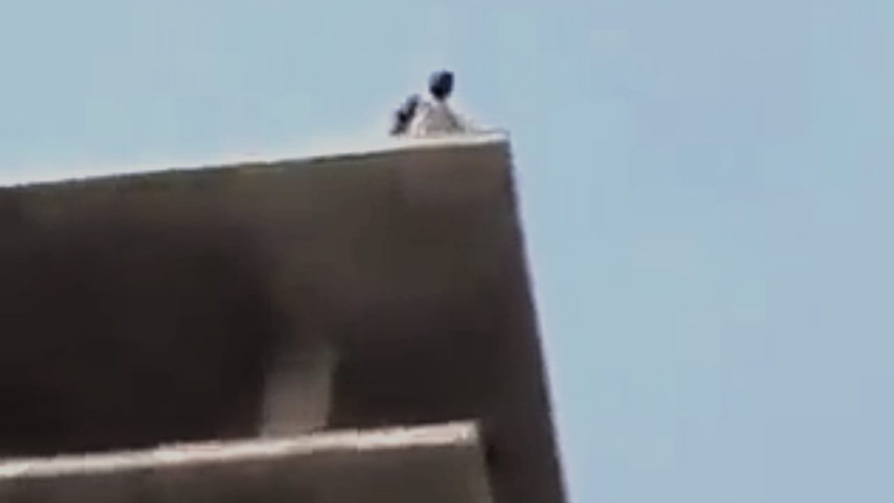 سوداني يهدد بالانتحار والمارة: اقفز عندنا شغل  ..  فيديو