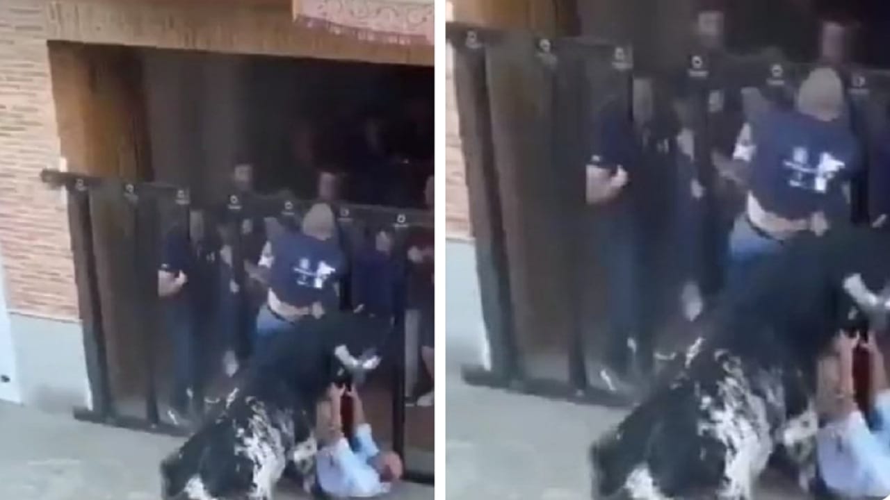 وفاة رجل متأثراً بإصابات الحقها به ثور في مهرجان بـ إسبانيا.. فيديو